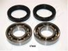 ASHIKA 44-17002 Wheel Bearing Kit